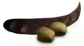 - Hair Repair and Shine Serum with Copaiba oil and Pracaxi oil-Rainwater Botanicals