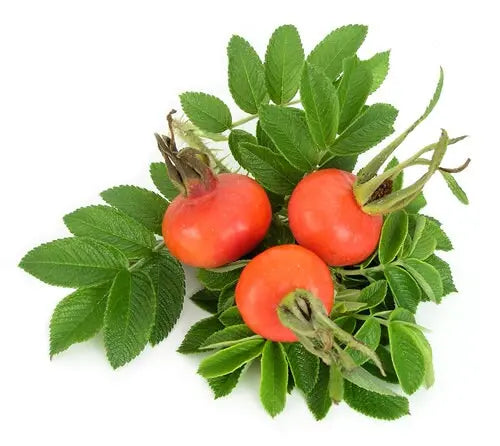 Olive & Rose Moisturizing Facial Cream