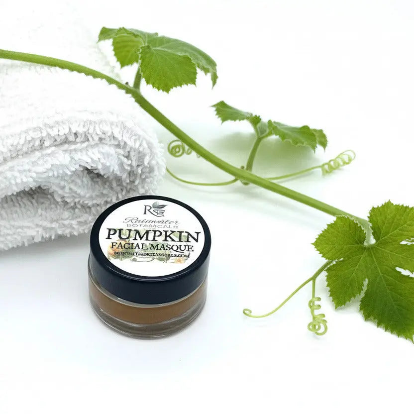 Pumpkin Facial Mask Antioxidants and Enzymes