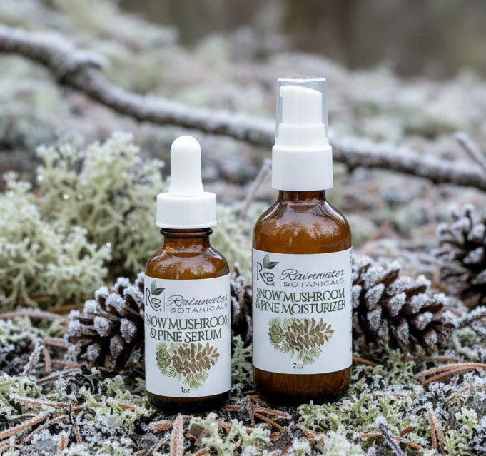 Rainwater Botanicals Snow Mushroom & Pine Serum - Rainwater Botanicals