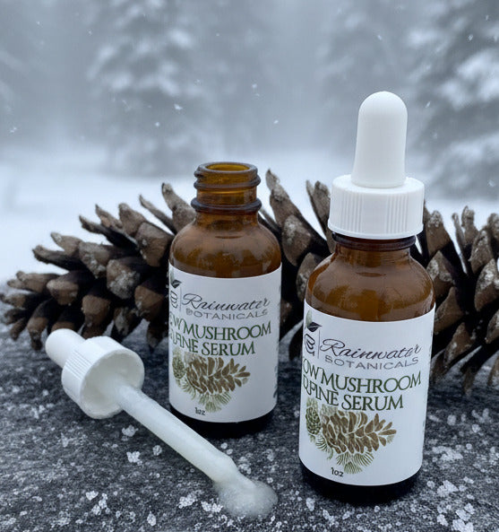 Rainwater Botanicals Snow Mushroom & Pine Serum - Rainwater Botanicals