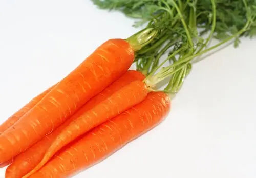 Sea Buckthorn and Carrot Nutrative Day Moisturizer