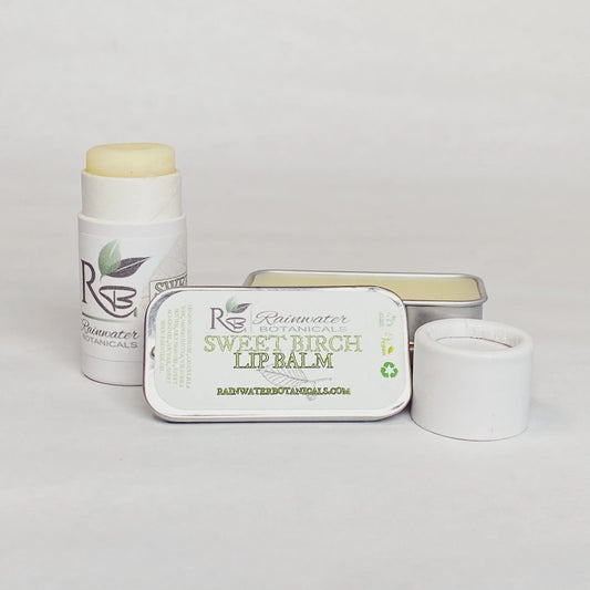 Sweet Birch Lip Balm vegan, eco packaging