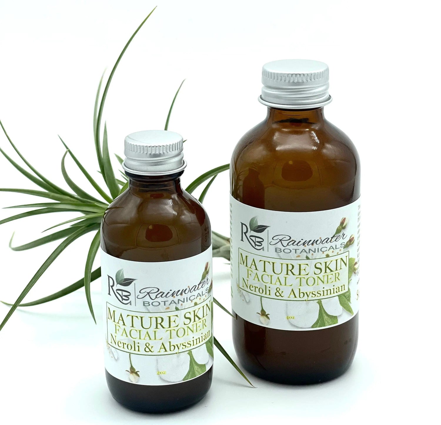 Toners, Masks, Specialty Rainwater Botanicals
