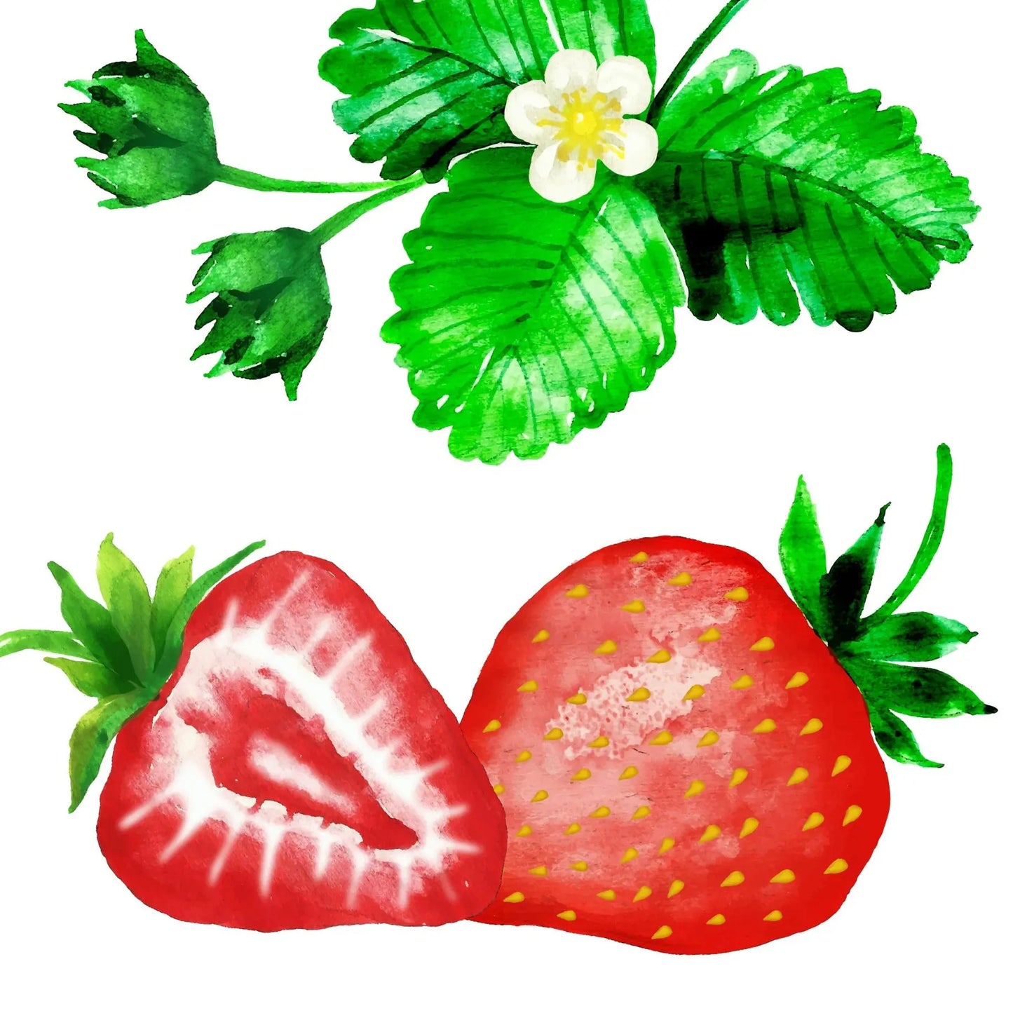 Strawberry Tinted Lip Balm - Rainwater Botanicals