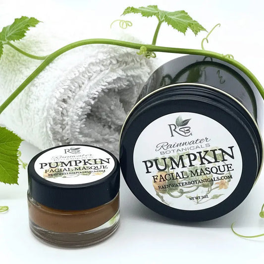 Pumpkin Facial Mask Antioxidants and Enzymes