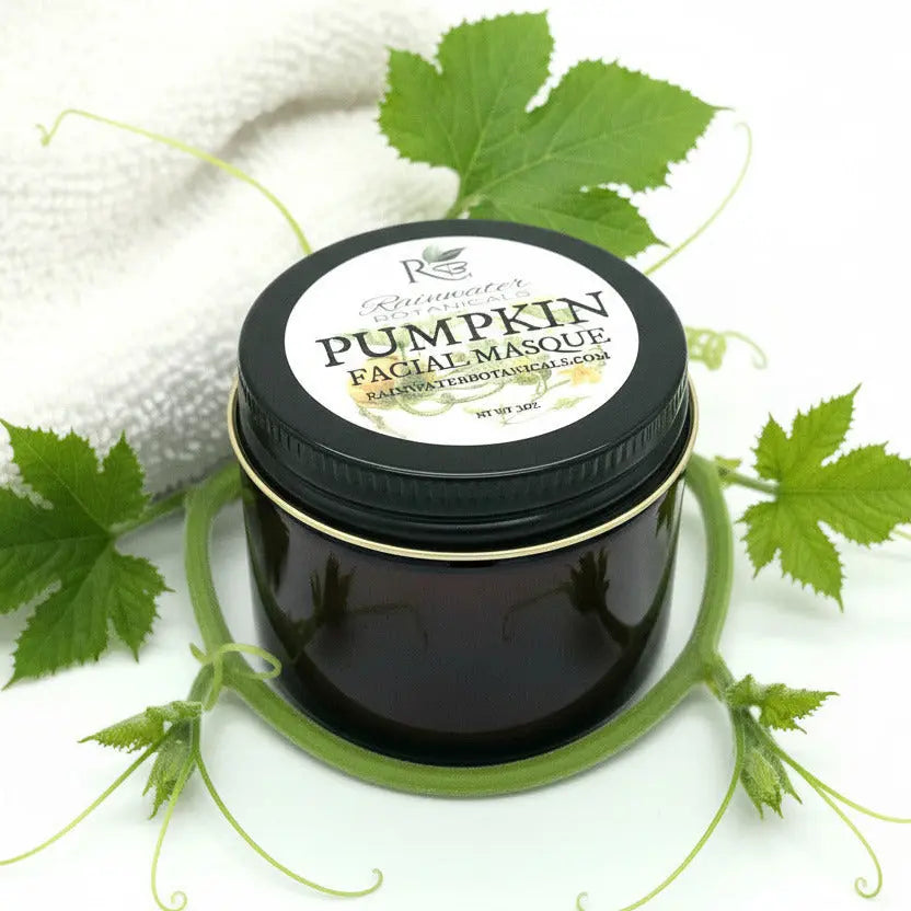 Pumpkin Facial Mask Antioxidants and Enzymes