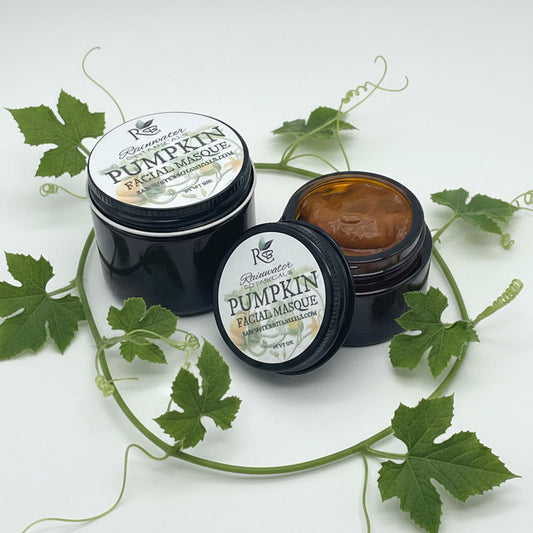 Pumpkin Facial Mask Antioxidants and Enzymes