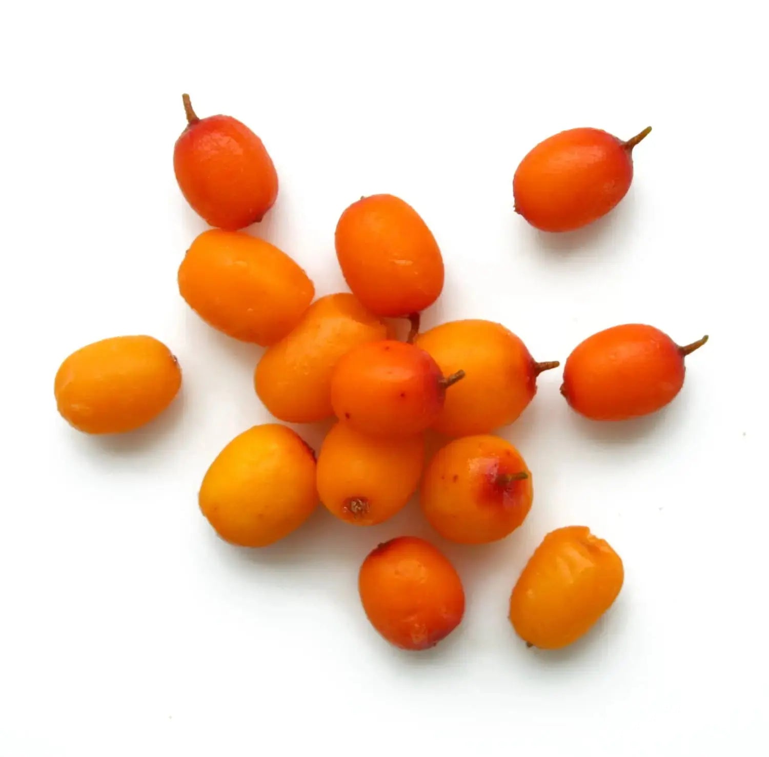 Sea Buckthorn and Carrot Nutrative Day Moisturizer